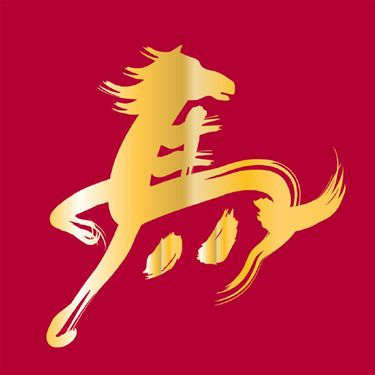 Tecnifibre T-Fight 300 100 sq in UNSTRUNG - Chinese New Year Edition