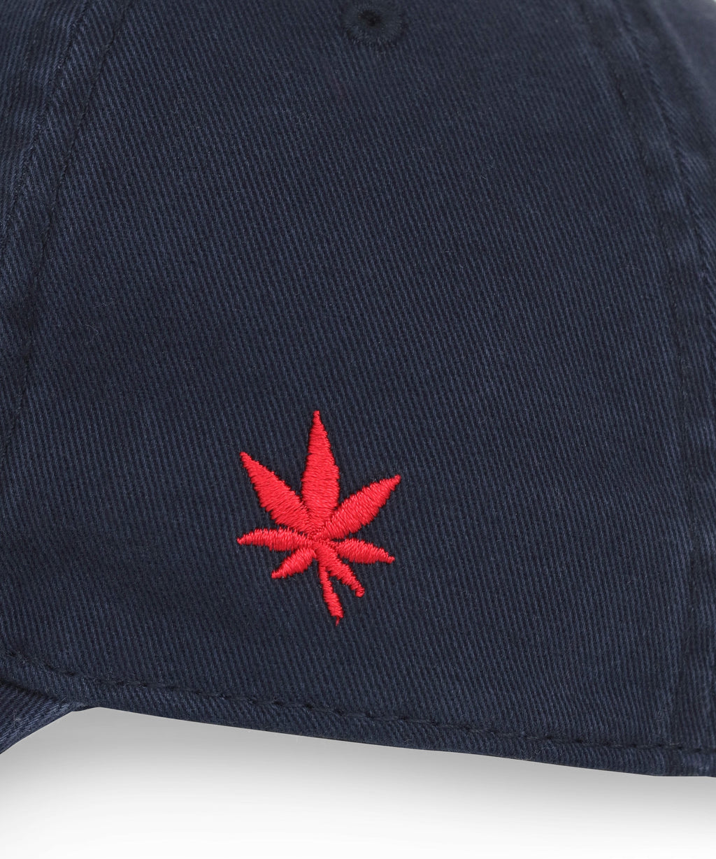 Boast Dad Hat