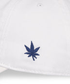 Boast Dad Hat