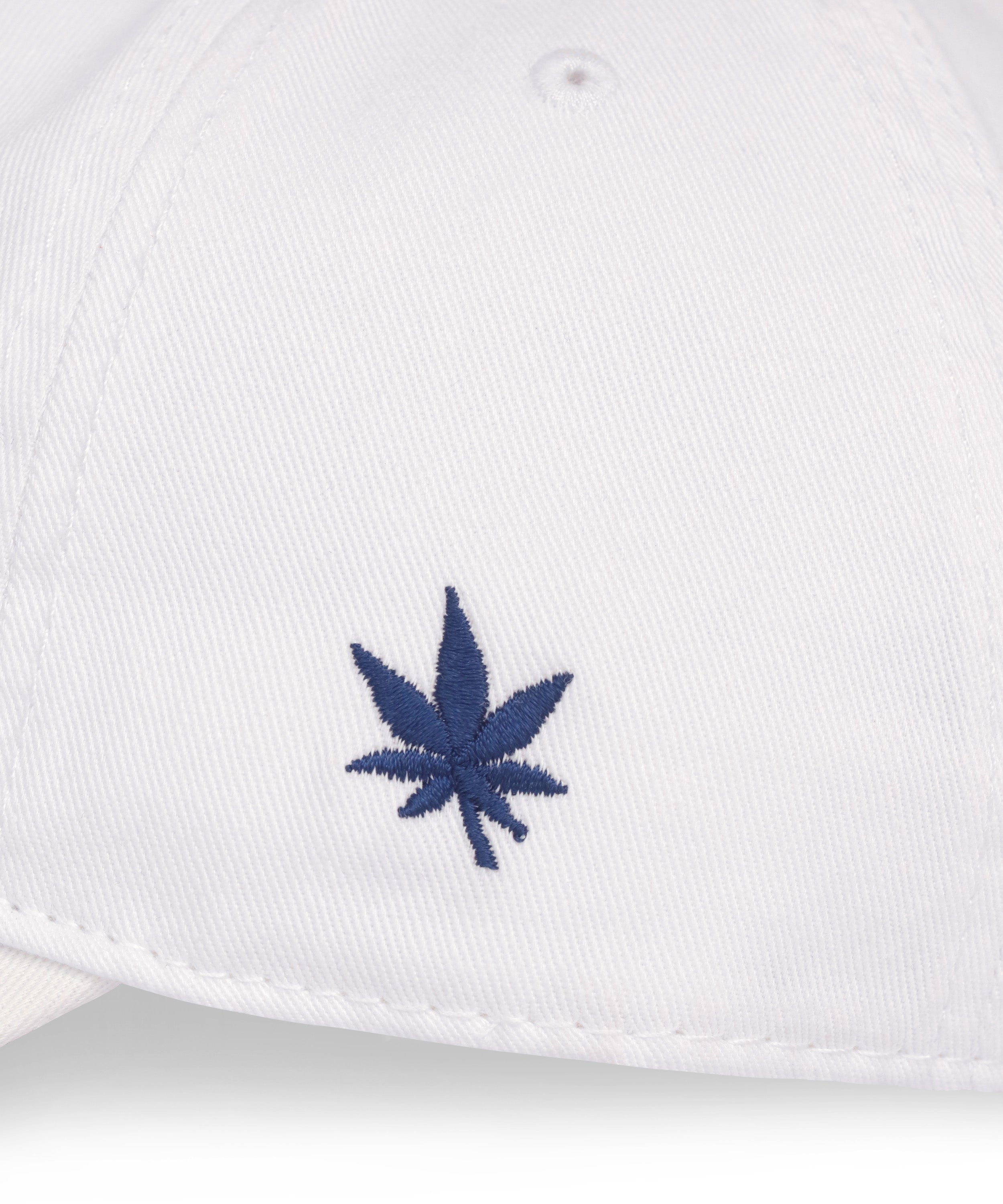 Boast Dad Hat
