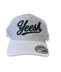 It's a Good Gig with Chief Sports Performance Hat - "Yeesh"