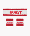 Headband/Wristband Set