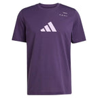 adidas Men's Category Graphic Tennis Tee - Aurora Plum
