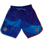 Men's Team USA Wave Shorts