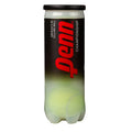 Penn Championship Single Can (3 balls) Extra Duty