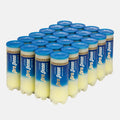 ProPenn Marathon+ Regular Duty Tennis Ball Case (72 balls)